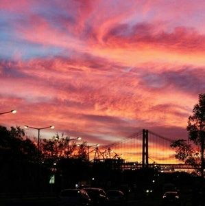 Trade for Celeste ❤